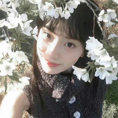 菩提树海报